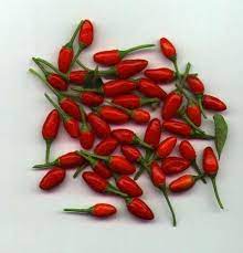 Japanese chileans are chileans with ethnic origin from japan. Chile Piquin O Japones Stuffed Peppers Stuffed Peppers Turkey Pepper Seeds