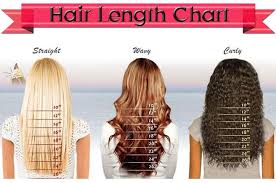It helps you get your desired haircut. The Hair Length Chart Is Your Guide To Finding The Right Hairstyle Human Hair Exim