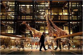 i pinimg com originals 37 1e ed 371eedb151c5ed9