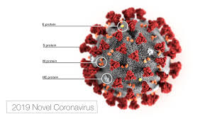 E quando hai finito puoi sceglierne quanti ne vuoi! Ecco Come E Fatto Il Coronavirus Wired