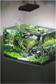 Diy Fish Tank Decorations Themes Aquascaping Fresh Water Decor Ideas Small Aquascaping Homemade Creative Aqua Aquarium Fish Aquarium Fish Tank Diy Fish Tank