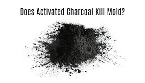 It has many applications (often as a filter), but in medicine it is generally used in the treatment of toxins. Does Activated Charcoal Kill Mold Get Green Be Well