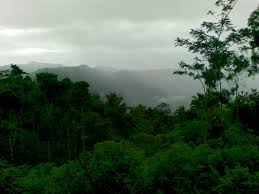 Gambar tersebut bisa anda unduh langsung, caranya silahkan klik pada gambar atau klik tombol download now dibawah foto yang anda inginkan. Wallpaper Pemandangan Alam Dan Pedesaan Pemandangan Desa Di Pacitan 1600x1200 Wallpaper Teahub Io