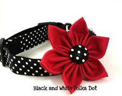 Female dog collars, low prices, free shipping & 24/7 support, shop now! Girl Dog Collar And Flower Set Black And White Polka Dot Girly Etsy Dog Collars Girly Girl Dog Collars Dog Flower Collar