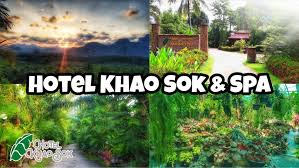 Our khao sok hotel is also situated right on the sok river. Hotel Khao Sok Spa Home Facebook
