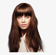 For the sides, you can get an undercut or any type of fade, including a high or low taper fade. Emporium Straight Brown Hair Bangs Transparent Png 729x729 Free Download On Nicepng