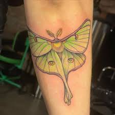 86 Remarkable Luna Moth Tattoos That Are On The Buzz Right Now!