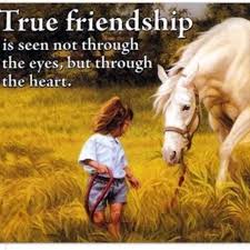 Friendship True Friendship Horses True Friendship Quotes