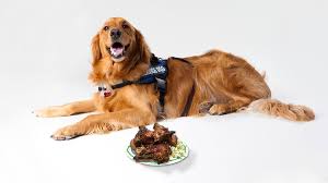 Small, uncooked pork bones that are too large for the dog to swallow whole dogs can eat uncooked pork bones, but eating cooked pork bones can be dangerous. Can Dogs Eat Pork What Happens If My Dog Eats Pork Petmoo