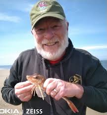 Excellent afternoon with Lee Welch and Gary Fleming fishing Derby Pool and  Harrison Drive. Thornback Ray and Plaice for Lee and my first ever ( and  2nd) shore caught Tub Gurnard. Took