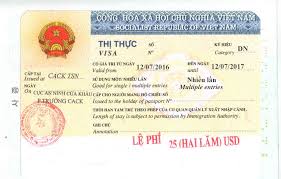 There are many forms of. How To Get Vietnam Business Visa Requirements Fees 2021
