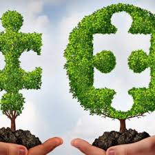 Lewis cobb (orlando) lewis cobb pest, lawn &termite control is a family owned and operated termite, rodent, and pest control peninsular pest control (jacksonville) peninsular pest control the crittergitter ants termites pests rats spiders lawn maintenance kids games home care termite baiting. The Clendenin Consulting Group