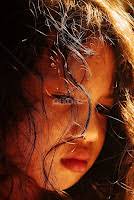 Stock Image Search Results