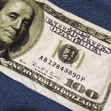 National Prize toy Plush $100 One Hundred USD American Dollar Bill Money