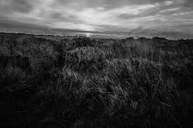 Maybe you would like to learn more about one of these? Wallpaper Langit Hitam Dan Putih Fotografi Monokrom Suasana Awan Satu Warna Rumput Pagi Pohon Kegelapan Malam Fenomena Meteorologi Pemandangan Sinar Matahari Horison Hutan Fajar Stock Photography Wallpaper Komputer Bidang 4162x2775