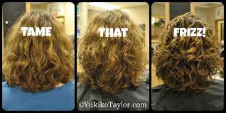 How to reduce frizz in wavy hair don't brush your hair except while in the shower with conditioner in your hair. Frizz Is An Anomaly For Most People It Is The Difference Between A Good Day And A Bad Day For Curlie Frizzy Wavy Hair Taming Curly Hair Tame Frizzy Curly Hair