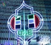 LED 2D Motif Light Flag Light for National Day Street ...