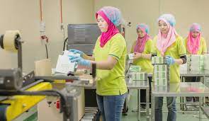 Which is a company that focuses its main activity in the research & development production and marketing for traditional health products which include birdnest products, essence of fish, essence. Manufacturing Facility Ecolite