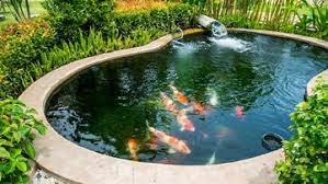 Pin on jasa maket gedung. Ingin Membuat Kolam Ikan Di Rumah Minimalis Lakukan 3 Hal Ini