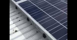 1 why you should cleaning solar panels. Solar Panel Cleaning And Pigeon Proofing Youtube Solar Panels Solar Paneling