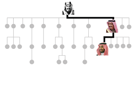 Saudi Arabia's Royal Family