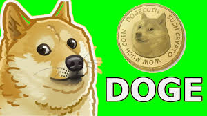 Will dogecoin ever reach $1,000. Will Doge Ever Hit 10000