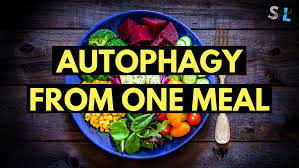 That said, combining all of your foods into one meal with keto is going to be a little more of a challenge than with other methods. Do You Get Autophagy Eating One Meal A Day Siim Land Blog