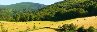 Mon ami m'a recommandé cette entreprise. Le Pays D Autan Et La Montagne Noire Tarn Occitanie Vacances Tarn