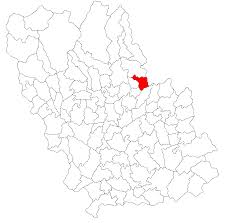 Pe acest site gasesti coduri postale din orice judet al romaniei. Comuna CÄrbuneÈti Prahova Wikipedia