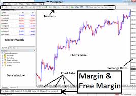 Leverage is essentially borrowed capital. Best Leverage For Micro Account Forex Leverage And Margin Trading Explanation And Examples Forex Leverage And Margin For Micro Account Explained How Do You Select Best Leverage For Micro