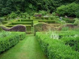 We In Wales Veddw House Garden Buchenhecke Garten Pflanzen