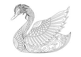 Drawing Zentangle Swan For Coloring Page Shirt Design Effect Logo Tattoo And Decoration Stock Vector Illustration O Zentangle Coloring Pages Swan Drawing