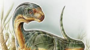 Download now 20 dinosaurus reptil dan hewan prasejarah terbesar ekor9 com. Dinosaurus Pemakan Tumbuhan Yang Mirip Karnivora