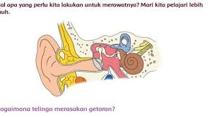 Jawaban tema 1 kelas 4 halaman 76. Kunci Jawaban Tema 1 Kelas 4 Sd Halaman 77 78 79 81 82 84 85 Buku Tematik Gangguan Indra Pendengar Tribunnews Com Mobile