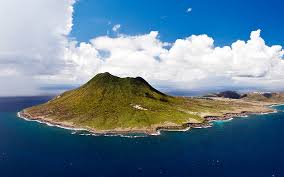 Image result for Staudtia