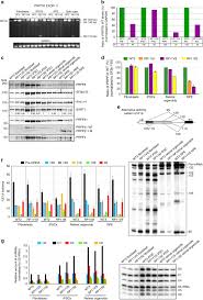 Integrating the tqdm can be quite tricky on these functions can be tricky as the map function returns a generator rather. Disrupted Alternative Splicing For Genes Implicated In Splicing And Ciliogenesis Causes Prpf31 Retinitis Pigmentosa Nature Communications