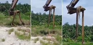 Satu pasangan suami isteri hidup dalam ketakutan selepas mengetahui anak angkat mereka yang disangka berusia enam tahun sebenarnya seorang wanita dewasa yang menyamar. Hq3 Ewt8cg S7m