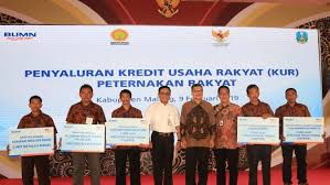 We did not find results for: Bank Bri Fasilitasi Penyaluran Kur Khusus Peternakan Rakyat Bisnis Liputan6 Com