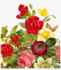 All rose images and rose flower images are free to download and can be used commercially under the free and open pexels license. Clip Free Download Wedding Bouquet Rose Butterfly Flowerbouquet Butterfly Flower Images Rose Transparent Png 1024x1280 Free Download On Nicepng