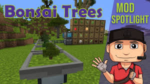 To put your dirt (or other material) into the bonsai pot, right click on an empty bonsai pot with the dirt. Bonsai Trees 2 Mods Minecraft Curseforge