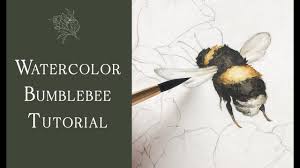 Figure drawing has been dropped from the curriculum, as i'm not particularly great at teaching it. Realistic Watercolor Bumble Bee Real Time Tutorial Youtube
