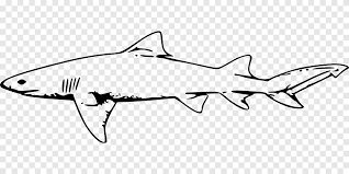 Check spelling or type a new query. Gran Tiburon Blanco Tiburon Toro Gran Tiburon Blanco Angulo Mariscos Png Pngegg