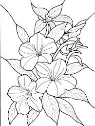 Roses, daisies, tulips and more flower coloring pages and sheets to color. Spring Flower Coloring Pages Ideas Whitesbelfast Com