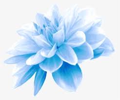 Maybe you would like to learn more about one of these? Blue Flower Png Images Transparent Blue Flower Image Download Pngitem