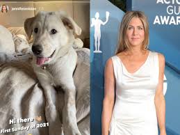 Jennifer aniston and brad pitt really are all good y'all. Photos Jennifer Aniston Spends The First Sunday Of 2021 On A Paw Fect Note Pinkvilla