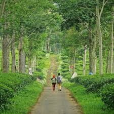 We did not find results for: Ayo Berkunjung Ke Kawasan Wisata Edukasi Kebun Teh Wonosari Di Kabupaten Malang Travellink Indonesia