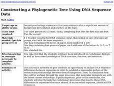 Phylogenetic Tree Lesson Plans Worksheets Reviewed By Teachers