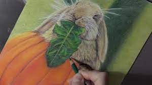 With a very organic line, the shape of the rabbit is outlined. Colored Pencil Drawing Of A Rabbit Youtube