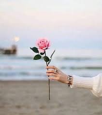 Download stylish dpz of flowers for desktop or mobile device. Dpz For Girls A To Z Alphabets Dpz Facebook