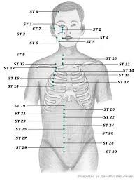 Acupressure Points Chart Acupressure Points Acupressure